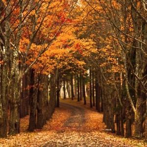 Meet your Posher, Aida